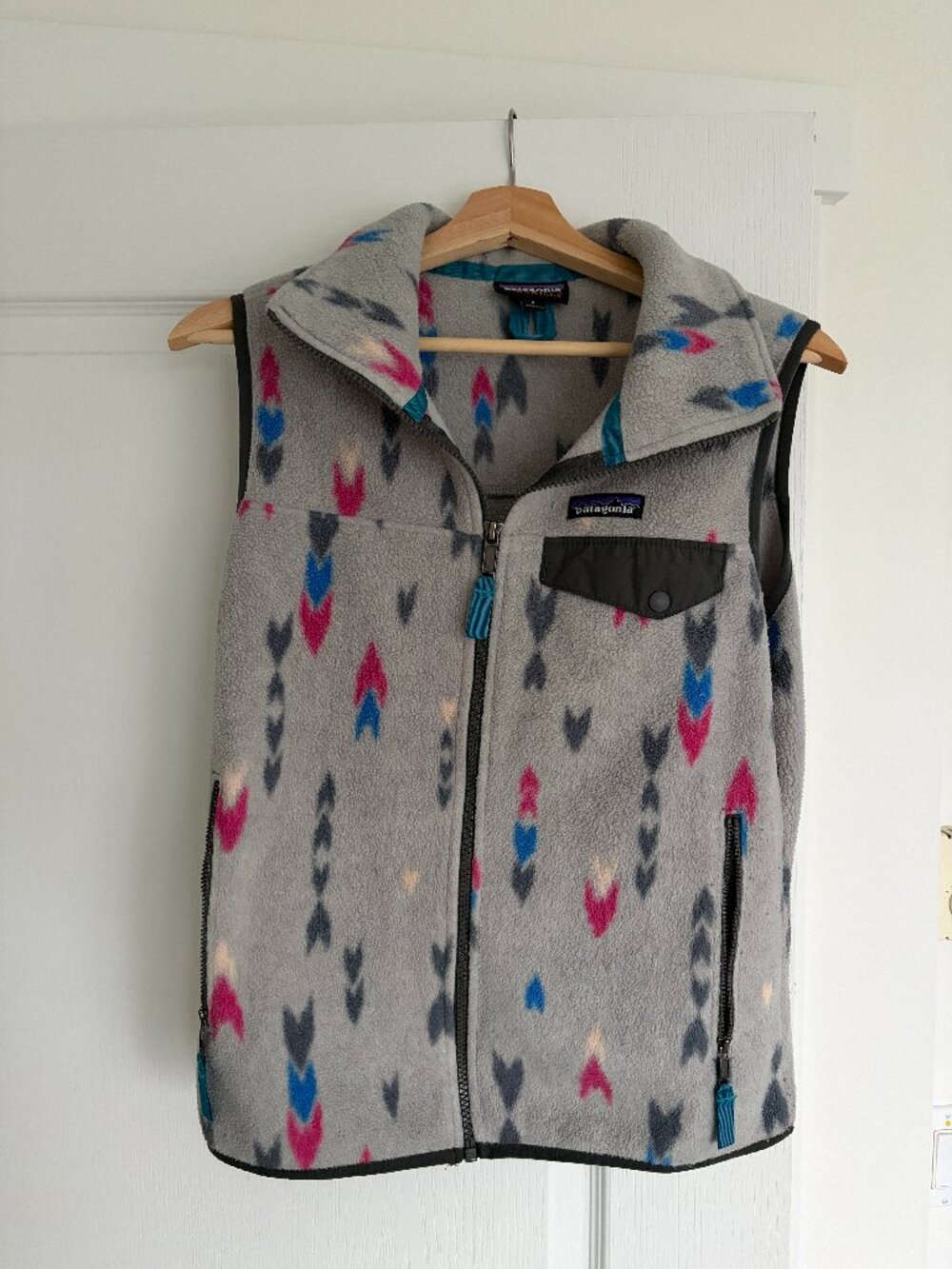 Patagonia Synchilla Fleece Vest